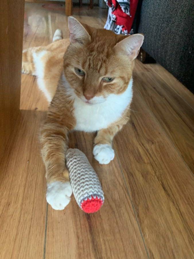 Krazy Kitty Crocheted Catnip Joint Toy