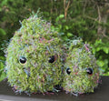 Papa Puff & Wee'd Baby– Weed Plushies for High Vibes Only! | 420 Stoner Gift | Cannabis Decor | Handmade Plush Set
